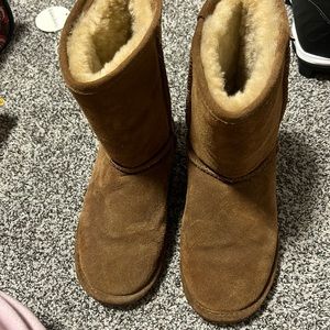 Best paw boots